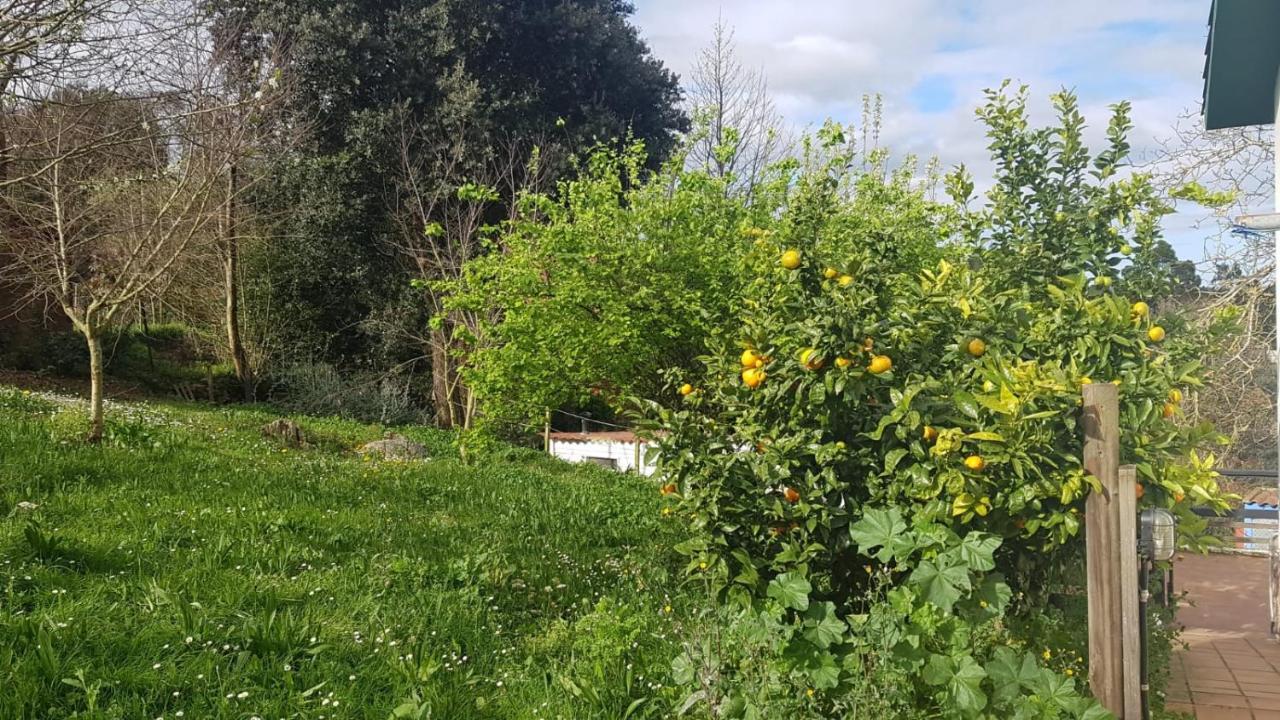 Vivienda Vacacional El Prau Villahormes エクステリア 写真